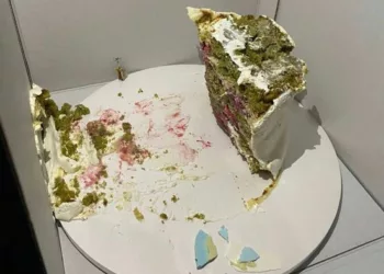 VIITOAREA MEA SOACRĂ ȘI PRIETENELE EI AU MÂNCAT TORTUL NOSTRU DE NUNTĂ DE 1000 DE DOLARI CU O ZI ÎNAINTE DE NUNTĂ