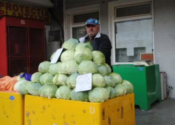 Cât a ajuns un kilogram de varză în piețe