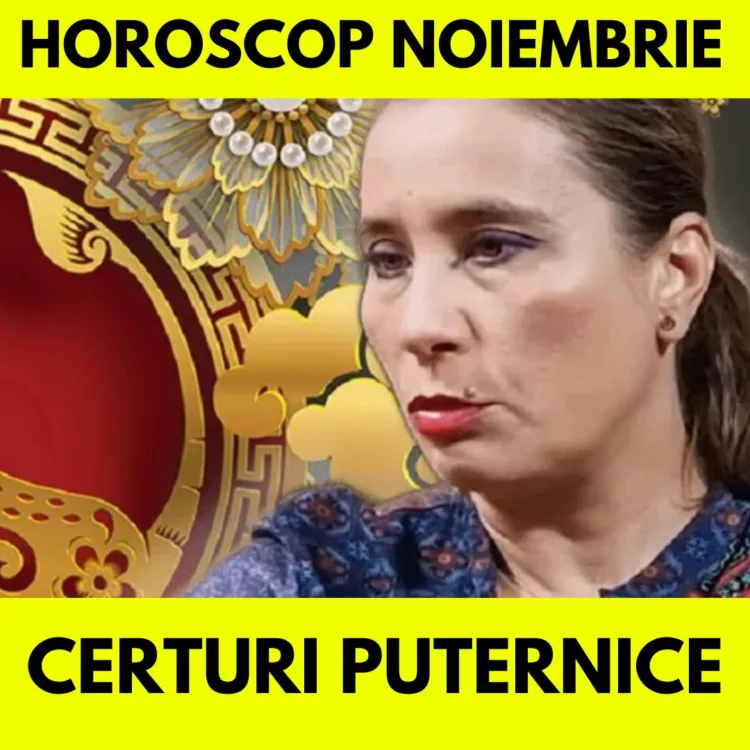 Zodiac chinezesc Anca Dimancea noiembrie 2024. Luna de Mistreţ aduce certuri în cuplu şi cheltuirea banilor de la ciorap