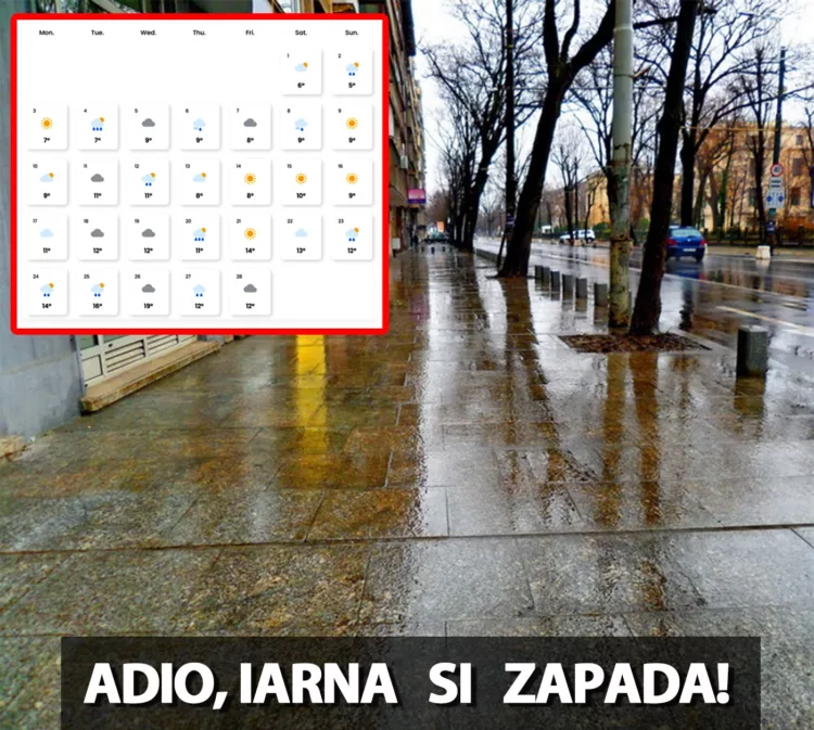 Adio, iarnă în România! Meteorologii EaseWeather anunță o iarnă fără zăpadă în România