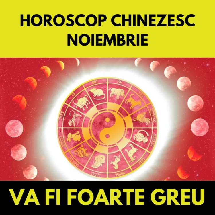 Horoscop chinezesc noiembrie 2024. Trei zodii dau de greu, dar alte două primesc vești foarte bune