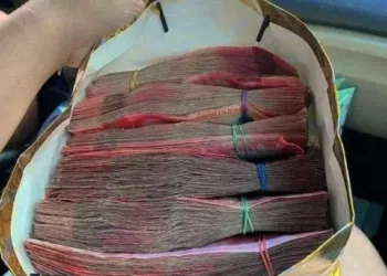 Șase zodii care vor avea parte de abundență financiară în luna noiembrie!