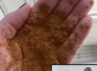 De ce să dai cu scorțișoară pe pragul ușii de la intrare. O să faci și tu așa de-acum