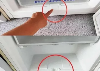 Aproape toate congelatoarele au acest „element secret”. De aceea trebuie să fie folosit o dată la fiecare 3 luni