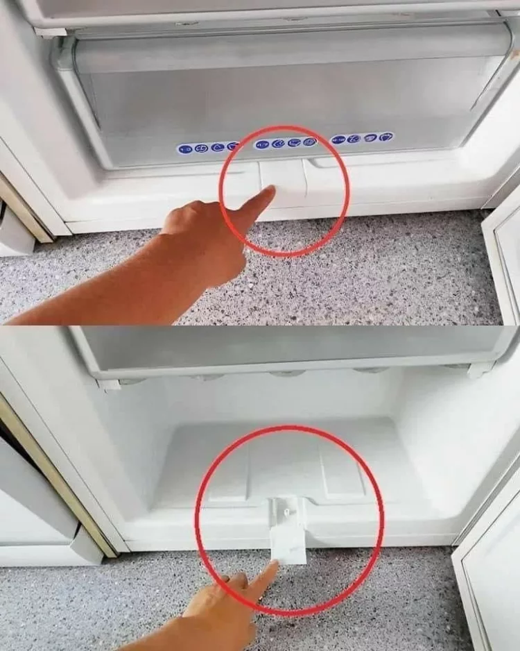 Aproape toate congelatoarele au acest „element secret”. De aceea trebuie să fie folosit o dată la fiecare 3 luni