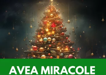 Zodiile care vor avea parte de miracole până de Crăciun. Ce surprize le-au pregătit astrele și asta vine după ce de multă vreme au suferit crunt