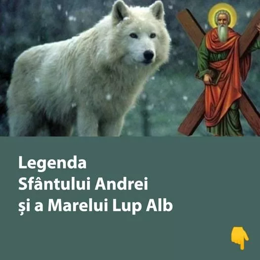 Legenda Sfântului Andrei și a Marelui Lup Alb