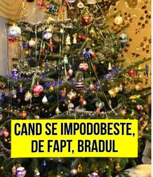 Cand se impodobeste, de fapt, bradul de Craciun. Multi nu stiu si au ghinion tot anul viitor