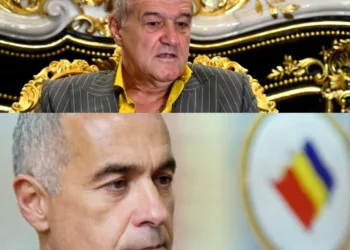 Gigi Becali a scăpat porumbelul și a dat grav din casă despre Călin Georgescu. „Mi-a zis acum 3 săptămâni” Este foarte grav ce afirmă