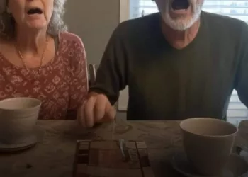 Așadar, m-am gândit să le fac o surpriză părinților logodnicului meu cu o veste mare la cină