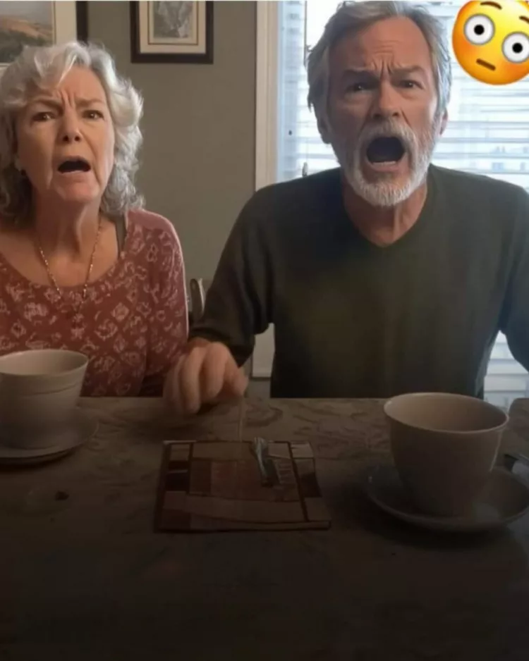 Așadar, m-am gândit să le fac o surpriză părinților logodnicului meu cu o veste mare la cină