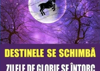 Zodiile care vor avea parte de schimbări radicale în luna decembrie. Surprizele se vor ține lanț în cazul lor