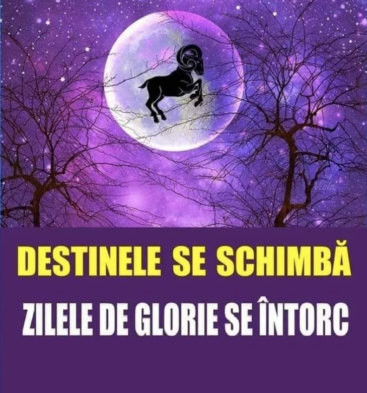 Zodiile care vor avea parte de schimbări radicale în luna decembrie. Surprizele se vor ține lanț în cazul lor