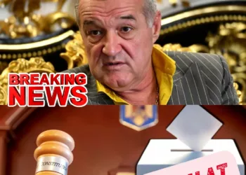 “Îmi e frică! De acum nu mai..” Gigi Becali, reacția MOMENTULUI după decizia CCR de a anula turul 1 al alegerilor prezidențiale!