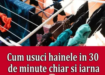 Cum usuci iarna rufele, in 30 de minute, fara sa faci umezeala in casa. E trucul salvator pentru sezonul rece