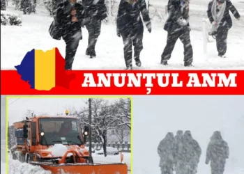 Vremea se strică rău. Meteorologii au emis alerte de cod galben și cod portocaliu de viscol, polei și vânt puternic în aproape toată țara