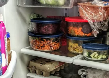 Am gătit un frigider plin cu mancare, dar de fiecare dată când ajungeam acasă, acesta era gol — într-o zi, m-am întors mai devreme și am văzut unde ajungea toată mâncarea