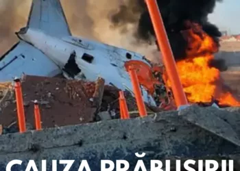 S-a aflat care ar fi cauza prăbușirii avionului sud-coreean cu 181 de persoane la bord. Au aparut martori care știu exact ce s-a întâmplat. Este incredibil așa ceva
