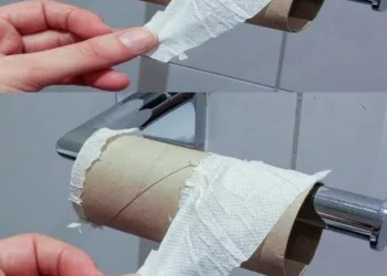 Hârtia igienică va dispărea în curând, află cu ce va fi înlocuită.