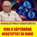 MIHAI VOROPCHIEVICI Horoscop rune 20-26 ianuarie 2025.