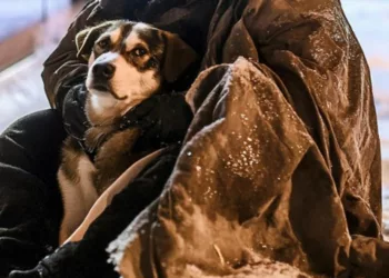 Am cumpărat shaorma și cafea pentru un bărbat fără adăpost — în schimb, mi-a dat un bilet și mi-a spus să îl citesc acasă.