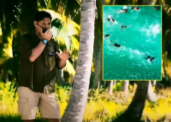 Panică totală la Survivor 2025