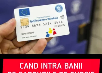 Când intră banii pe cardurile de energie în 2025. Cum pot fi folosiți acești bani în acest an