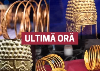 Răsturnare uriașă de situație! Abia acum s-a aflat marea greșeală făcută de autoritățile din România și Olanda. Este strigător la cer, o bătaie de joc