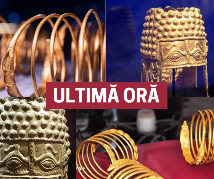 Răsturnare uriașă de situație! Abia acum s-a aflat marea greșeală făcută de autoritățile din România și Olanda. Este strigător la cer, o bătaie de joc