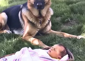 La 40 de ani, credeam că viața mea se terminase