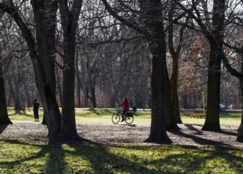 ADIO, IARNA! Avem prognoza meteo pentru urmatoarele doua saptamani