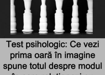 Test psihologic: Ce vezi prima oară în imagine spune totul despre modul în care relaționezi cu oamenii din jurul tău