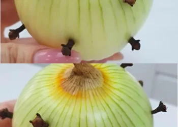 Bunica mea pune întotdeauna cuișoare în ceapă: Am fost surprins când am aflat de ce.