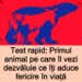 Test de personalitate: Primul animal pe care îl vezi dezvăluie ce îți aduce fericire în viață