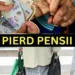 Cine sunt seniorii care pierd 1.500 de lei la pensie: Multe dosare au rămas nesoluționate după Marea Recalculare