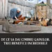 De ce sa dai cimbru gainilor