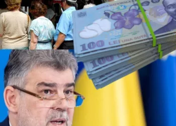 Guvernul continuă sprijinul pentru agricultură în 2025: