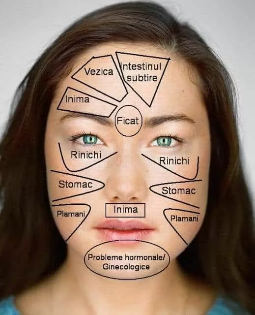 Harta Chinezeasca A Fetei Arata Cu Ce Se Confrunta Organismul Dumneavoastra
