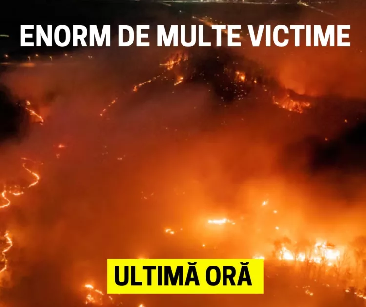 Incendiile de vegetație fac ravagii: Mii de oameni evacuați și pagube uriașe