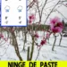 Orașele din România în care va ninge de Paște