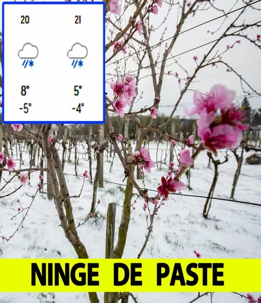 Orașele din România în care va ninge de Paște