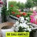 Reguli pentru florile de pe balcon: Ce riscuri și amenzi riști dacă nu le respecți
