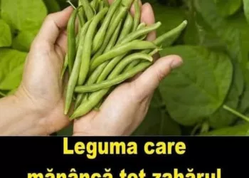 Un aliat natural pentru reglarea glicemiei