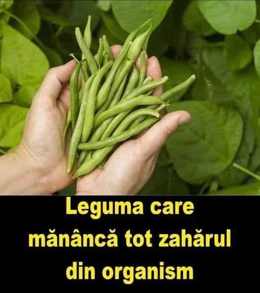 Un aliat natural pentru reglarea glicemiei