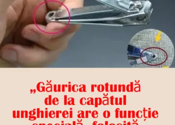 Unghiera: Obiect banal sau instrument multifuncțional? Trucuri ingenioase pe care puțini le cunosc
