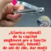 Unghiera: Obiect banal sau instrument multifuncțional? Trucuri ingenioase pe care puțini le cunosc
