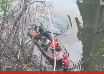 Tragedie pe Dunăre: Un microbuz a căzut în apă. Autoritățile au activat planul roșu – nu sunt supraviețuitori