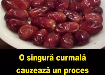 Curmalele – un aliment complet cu beneficii remarcabile pentru sănătate