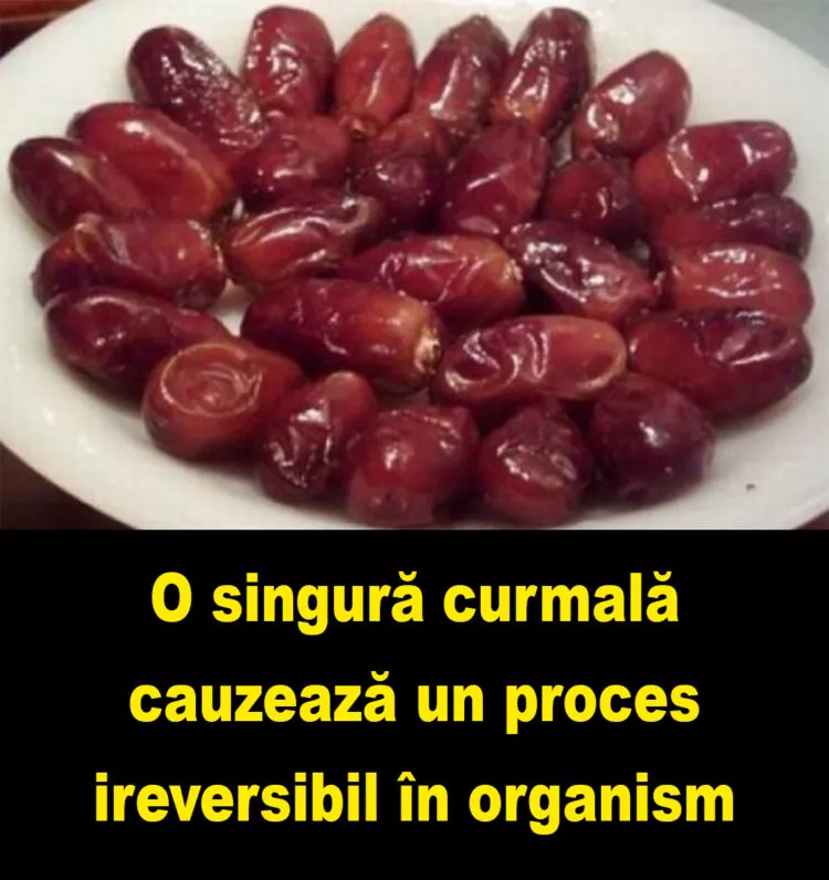 Curmalele – un aliment complet cu beneficii remarcabile pentru sănătate