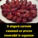 Curmalele – un aliment complet cu beneficii remarcabile pentru sănătate